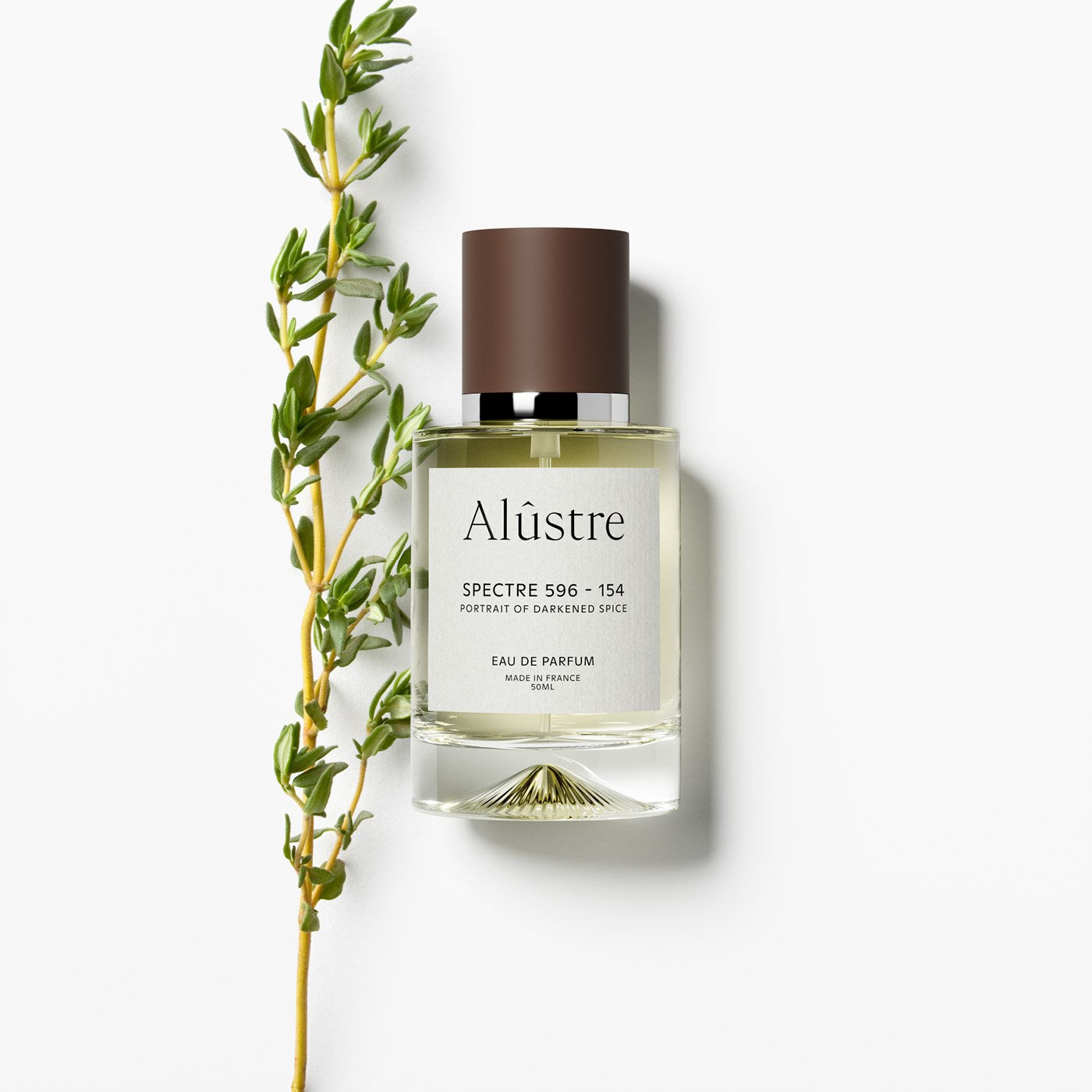 Alûstre Website Image TEMPLATE8